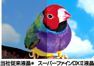 X[p[t@CDXIIťʂ킩₷C[Wʐ^