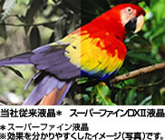 X[p[t@CDXIIťʂ킩₷C[Wʐ^