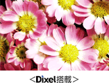 Dixel̃tB^[ʂ킩₷C[Wʐ^