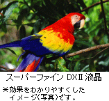 17^ChX[p[t@CDXIIt̎ʐ^