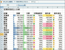 Microsoft Office Personal 2007̉