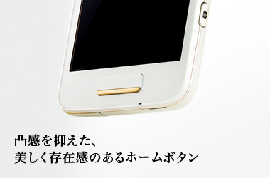 �ʊ���}�����A���������݊��̂���z�[���{�^��