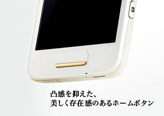 �ʊ���}�����A���������݊��̂���z�[���{�^��