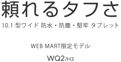 ^t 10.1^Ch hEhoES^ubg WEBMART胂f WQ2/H3