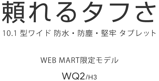 ^t 10.1^Ch hEhoES^ubg WEBMART胂f WQ2/H3